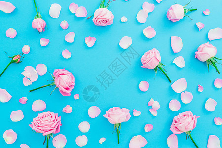 粉红玫瑰和花瓣在蓝色背景上的花朵模式图片