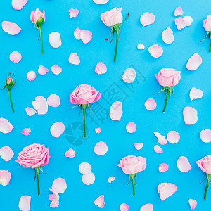 蓝色背景上的玫瑰花蕾和花瓣的花卉图案图片