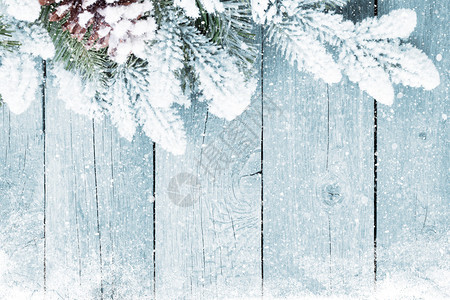 雪和风树的旧木质料图片