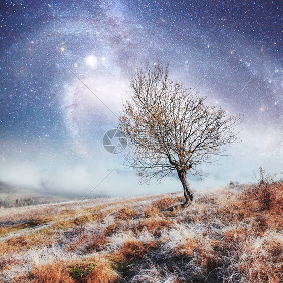 梦幻般的景观孤独的树在冬天的早期在满天星斗的夜空和银河系下的山上由美航空天局提供喀尔巴阡图片