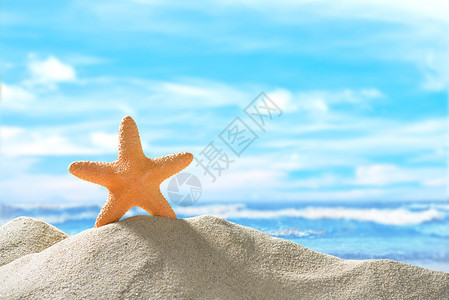 蓝天下沙子上的海星和贝壳图片