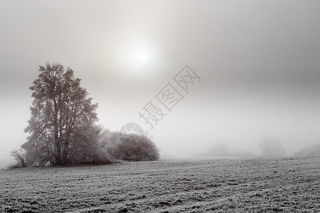 阳光明媚的冬雾风景冬天图片