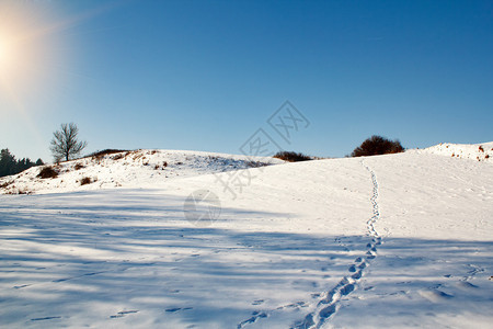 与雪太阳和蓝天的冬天场面图片