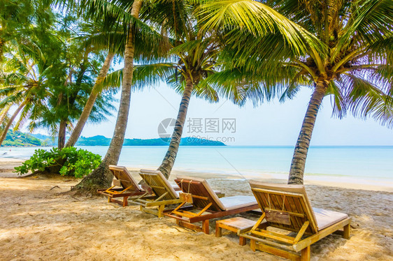 美丽的热带海洋或岛屿上带有椰子棕榈树和蓝天图片