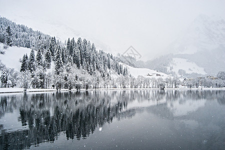 瑞士阿尔卑斯山的雪天图片