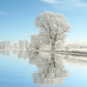 12月拍攝的照片在早上的蓝天上被冰图片