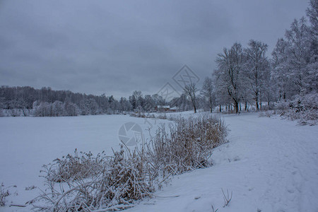 天气晴朗的冬季景观图片