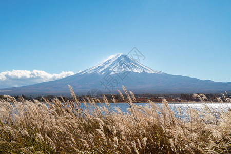 日本富士山的秋天河口湖是日本观赏富士山风景的图片