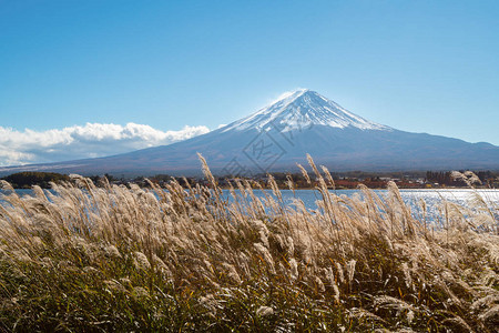 日本富士山的秋天河口湖是日本观赏富士山风景的图片