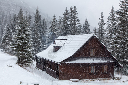 波兰扎科帕内山区的冬天图片