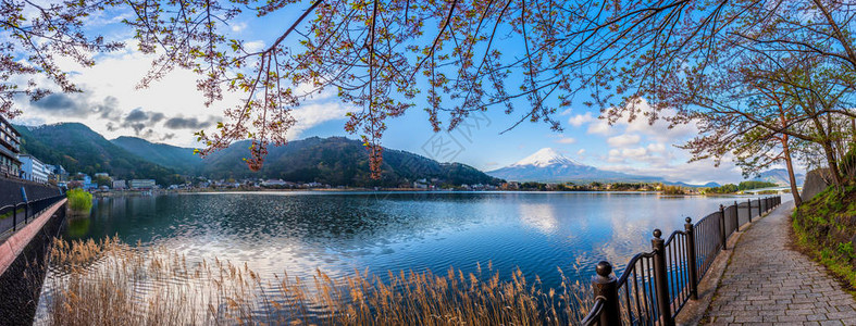 富士山和河口湖的全景图像与河口湖大桥在早晨的时间图片