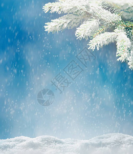 美丽的白雪皑的冬季景观与白雪皑的冷杉树枝雪花和蓝天冬季圣诞节背景图片