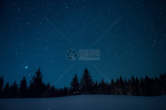 在繁星点的冬季天空背景下的圣诞树图片