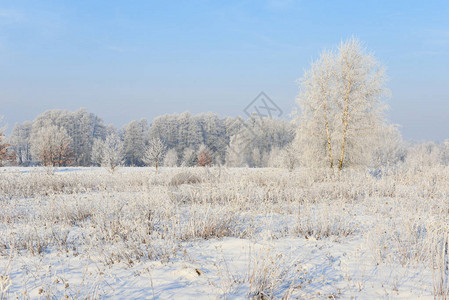 蓝天白云下的美丽冬景图片