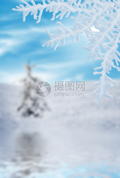 冬天降雪图片