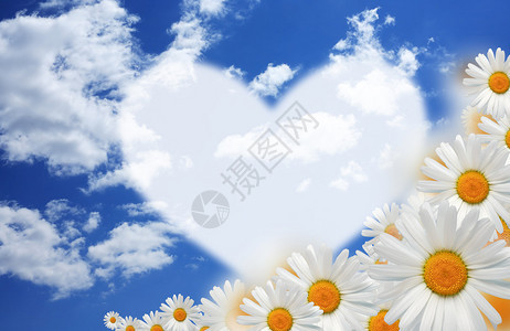 爱情观雏菊花与云天之间的空白心形图片
