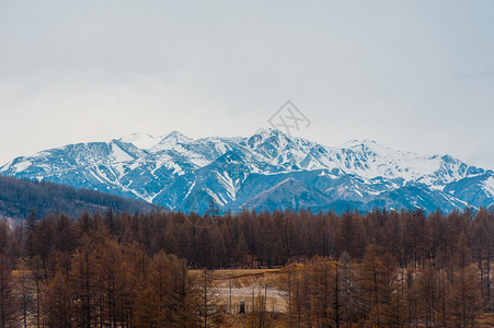 西萨扬山脉美丽的春地景色希亚山图片