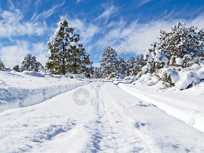 新墨西哥州北部雪地图片