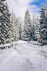 穿过冬林的山路窄桥图片