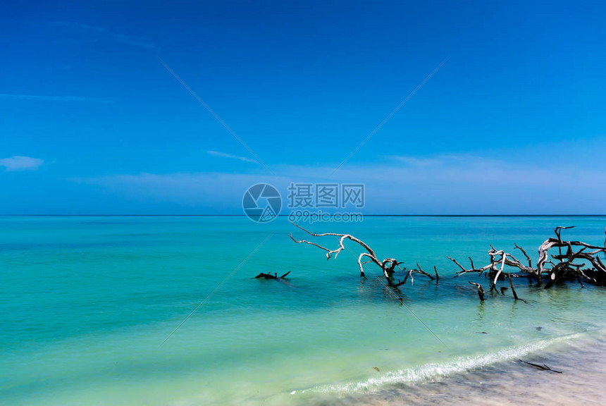 古巴海滩全景视图高清图片下载-正版图片503080721-摄图网