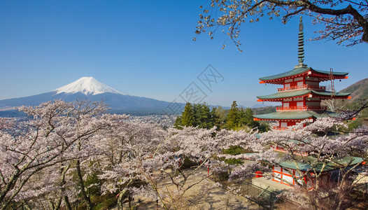 日本美丽的风景藤田山和楚里托红塔配图片