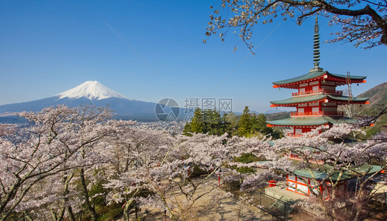 日本美丽的风景藤田山和楚里托红塔配图片