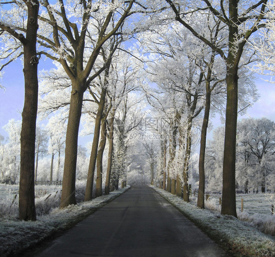 比利时冬季图片