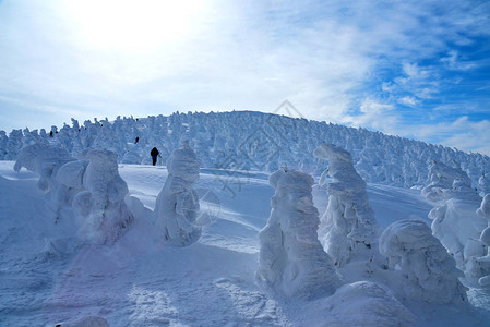 日本山形藏王山的雪怪藏王是东北地区最大的滑雪场之一在冬天图片