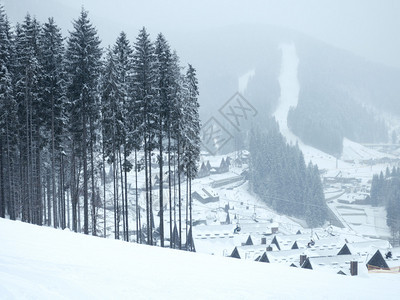 以松林和山村为背景的冬季景观图片