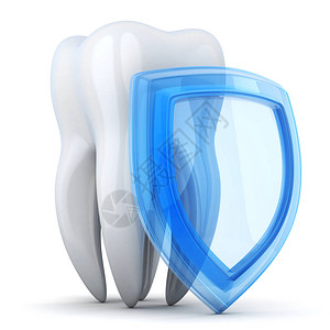 孤立的白牙和防护贝壳背景图片