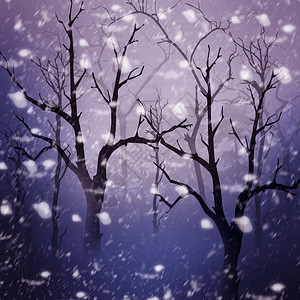 树木和雪冬天图片