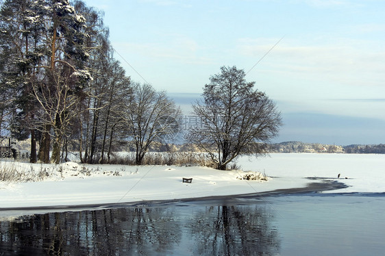 河边的冬林与灰鹭图片