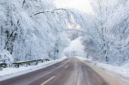 白雪皑的冬季道路冬季景观图片