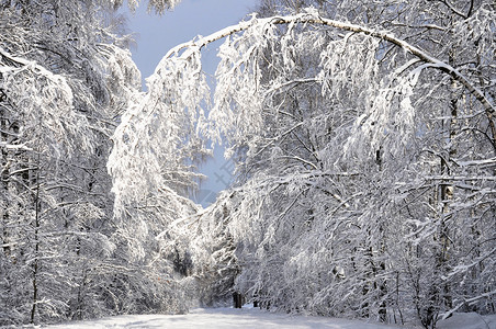 季节冬季景观图片