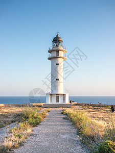 在西班牙Formentera的阳光日落时看到Barb图片