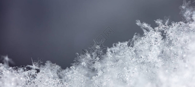 雪上的雪花图片是在8C图片