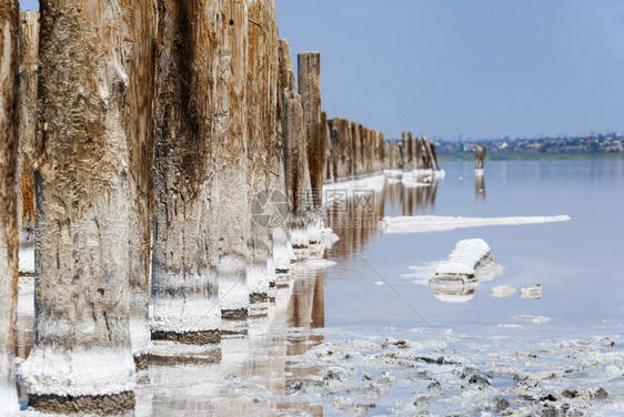 奥德萨乌克拉宁的白盐沙滩和粉红海Ku图片