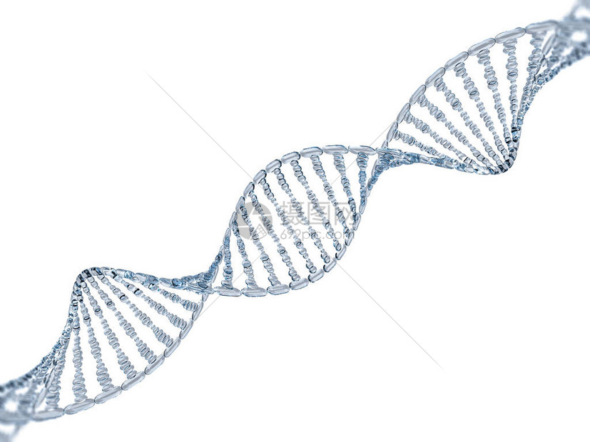 Glassdna模型图片