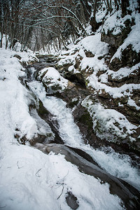冬季风景与木材河俄罗斯冬季图片