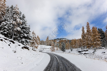 雪天曲折的山路阿尔泰图片