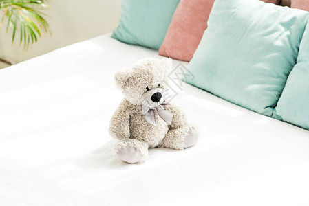 灰色泰迪熊靠近粉色和蓝色枕头在卧图片