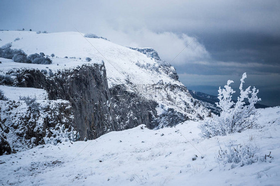 冬季雪地山丘和森图片