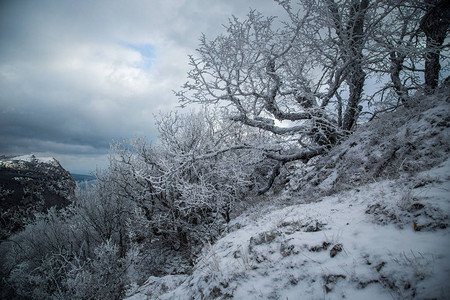 冬季雪地山丘和森图片