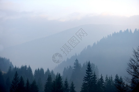 山林和雾图片