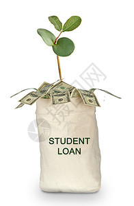 学生贷款袋图片