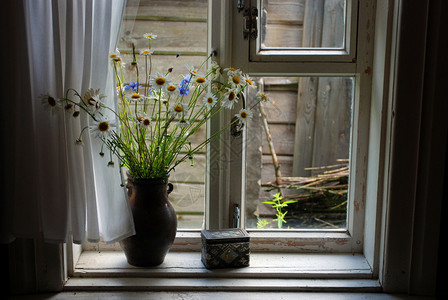 窗边水罐里的野花图片