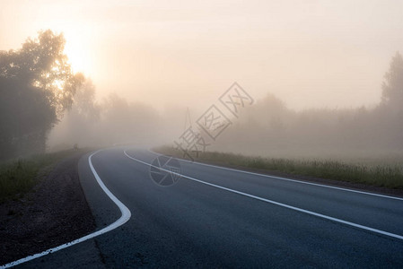 乡村的空无道路周围有林夏季的前景与雾图片