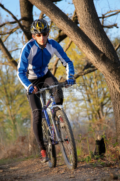 一名男山上骑脚踏车的男子在树林中图片