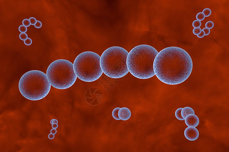 血液中链球菌的三维绘图化脓链球菌细菌模型微生物球形细图片