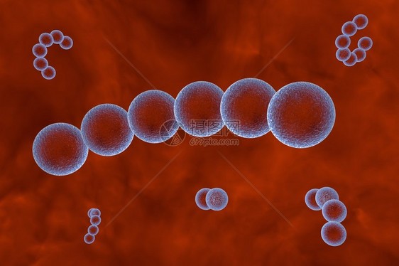 血液中链球菌的三维绘图化脓链球菌细菌模型微生物球形细图片